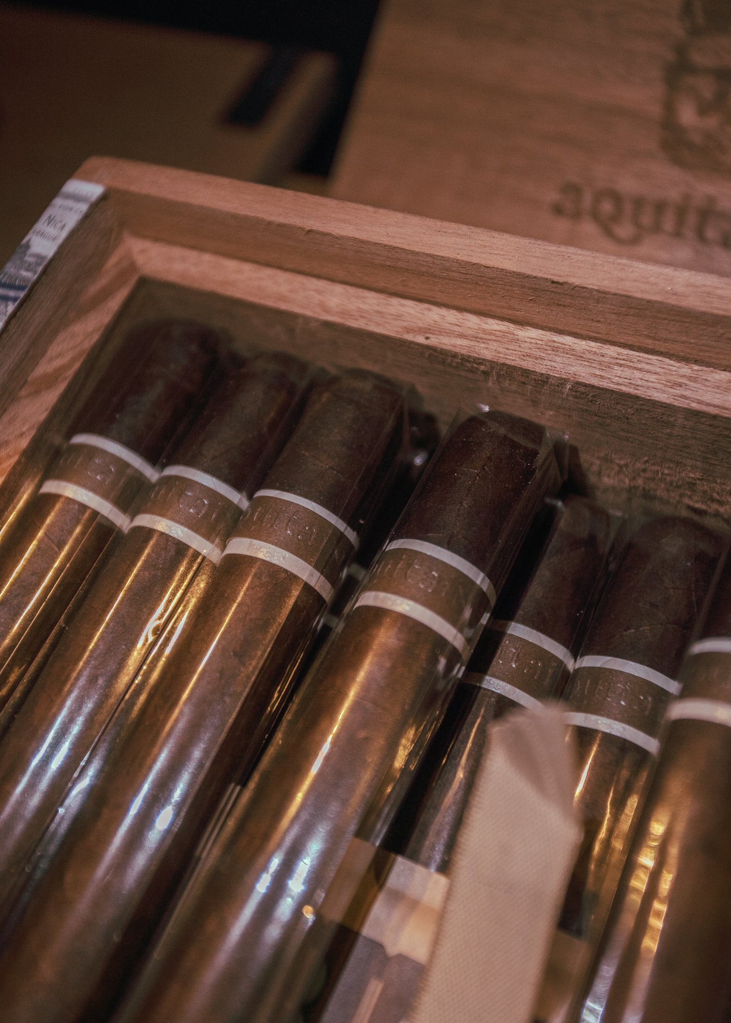 Roma Craft Aquitaine Anthropology 5.75x46 - AME Cigars