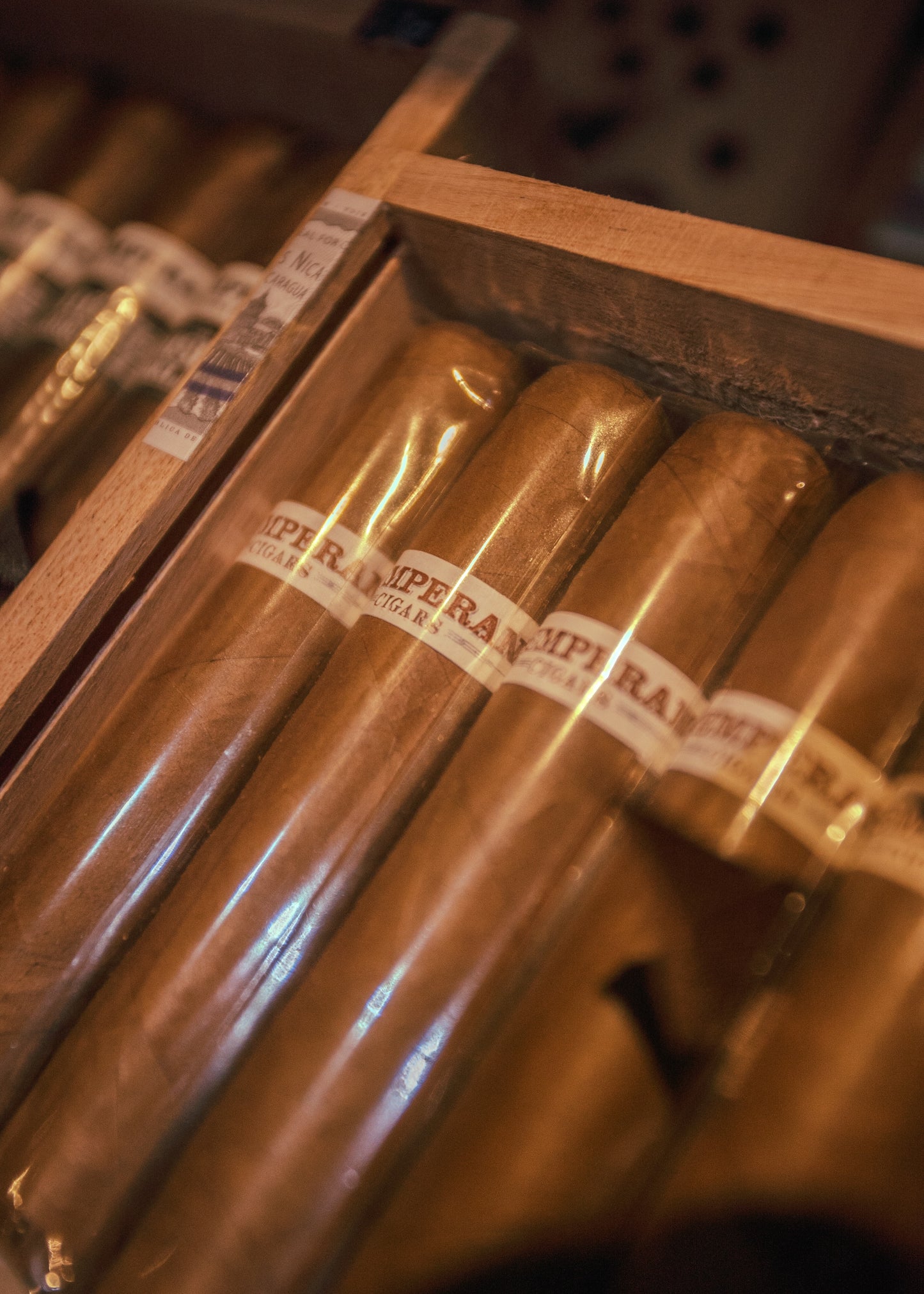 Roma Craft Intemperance EC XVIII Charity 4x46 - AME Cigars