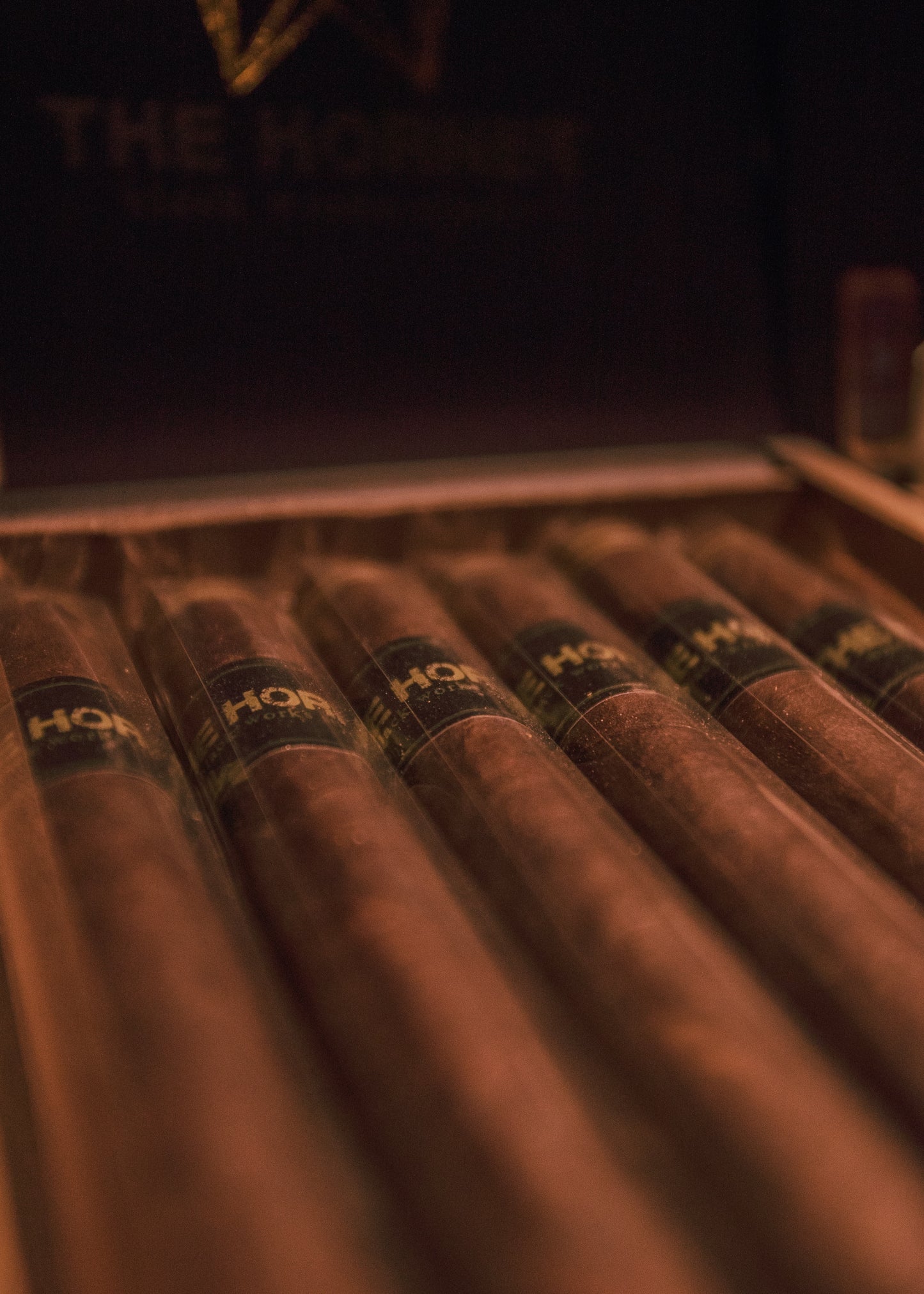 Black Works Studio: The Hornet -Corona Larga 6x46 - AME Cigars