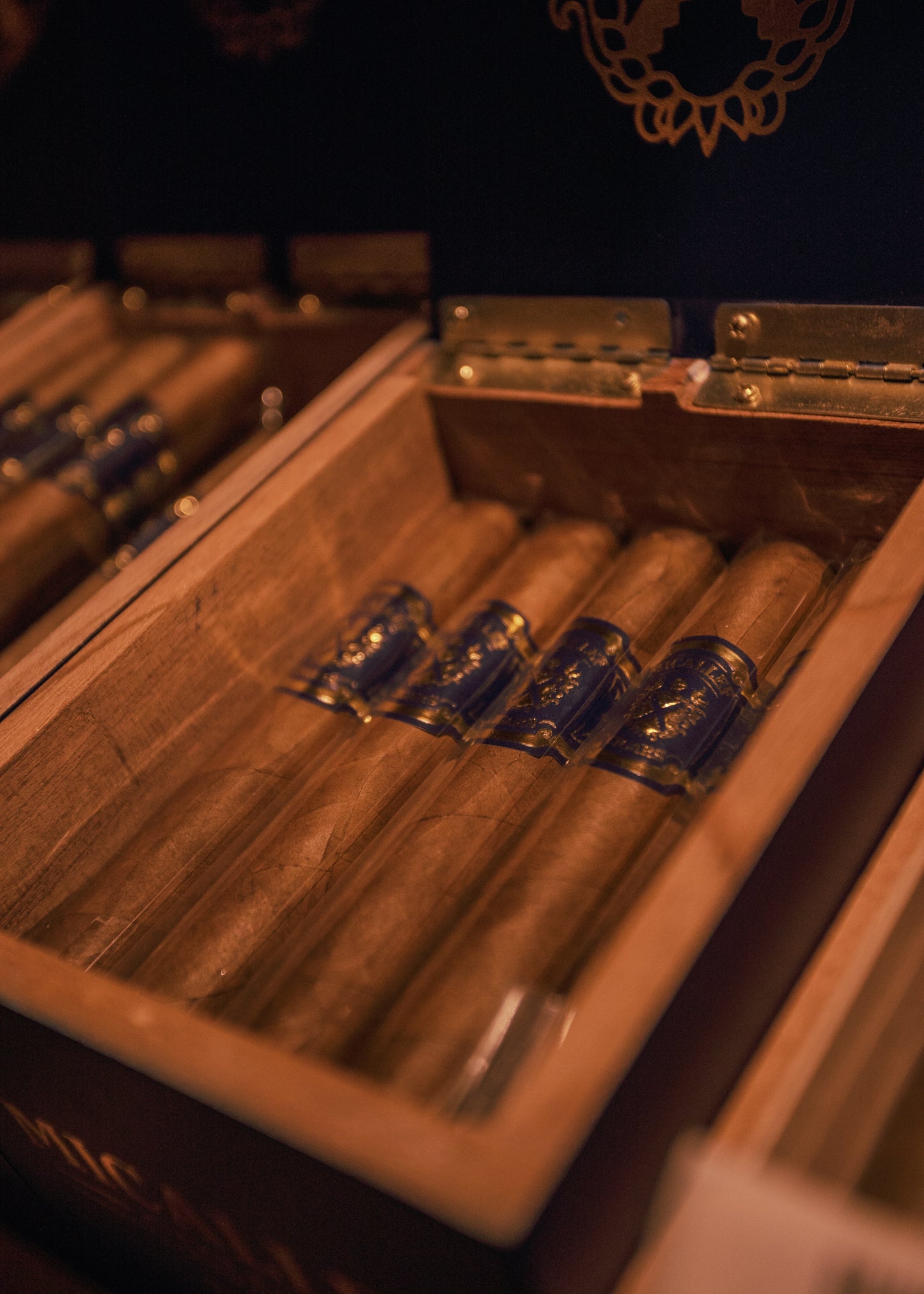 Micallef: Blue -Robusto 5x52 - AME Cigars