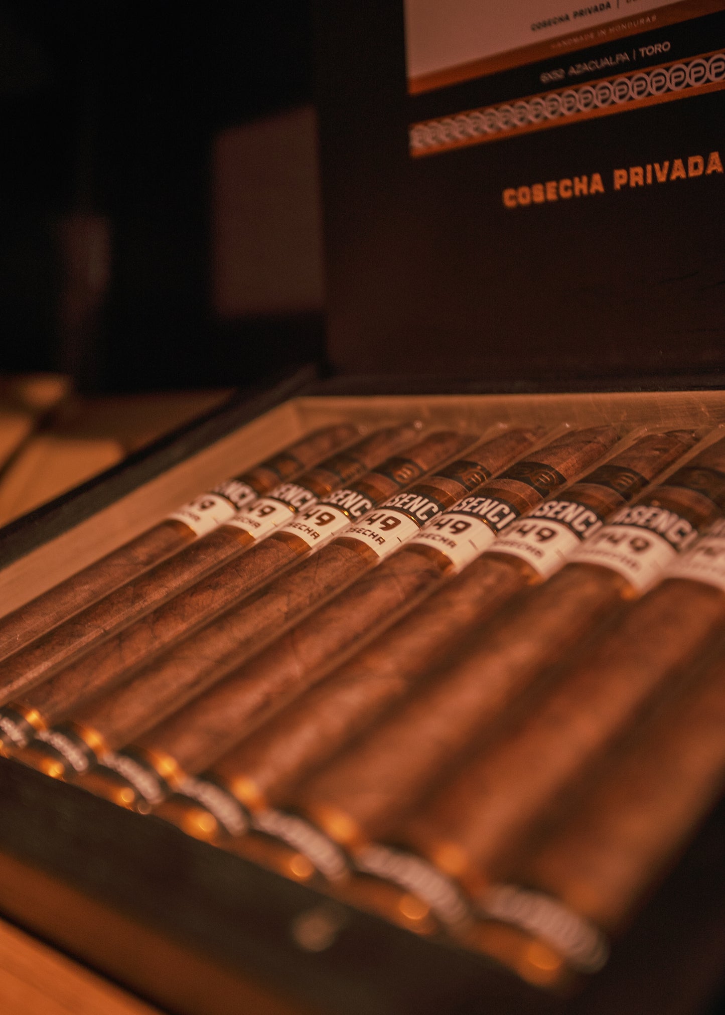 Plasencia: Cosecha149 - Azacualpa Toro 6x52 - AME Cigars