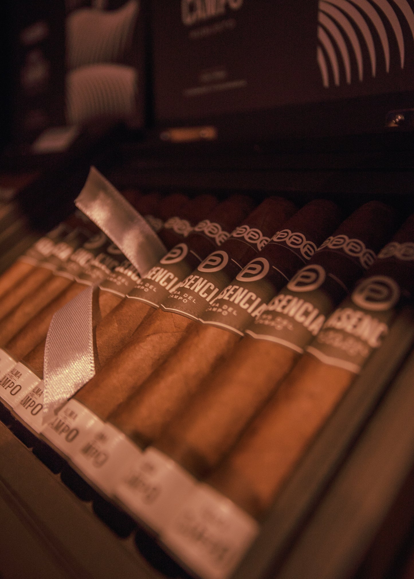 Plasencia: Alma del Campo- Tribu Robusto 5x52 - AME Cigars