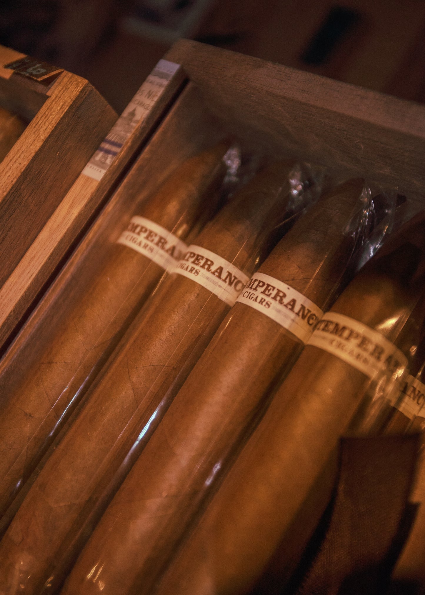 Roma Craft Intemperance EC XVIII Faith 5x50 - AME Cigars