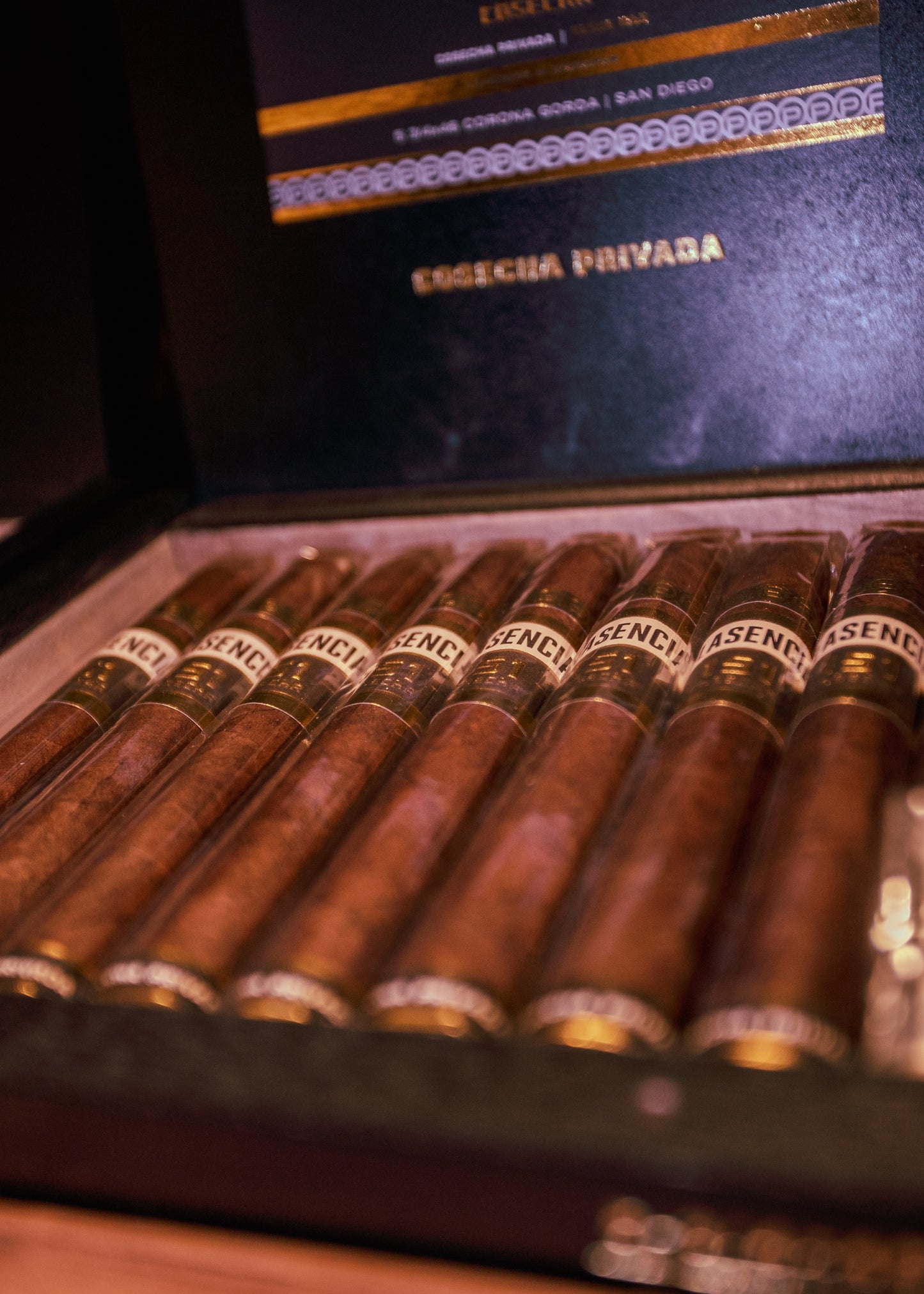 Plasencia: Cosecha 151 -San Diego. Corona Gordo 5-3/4x46 - AME Cigars