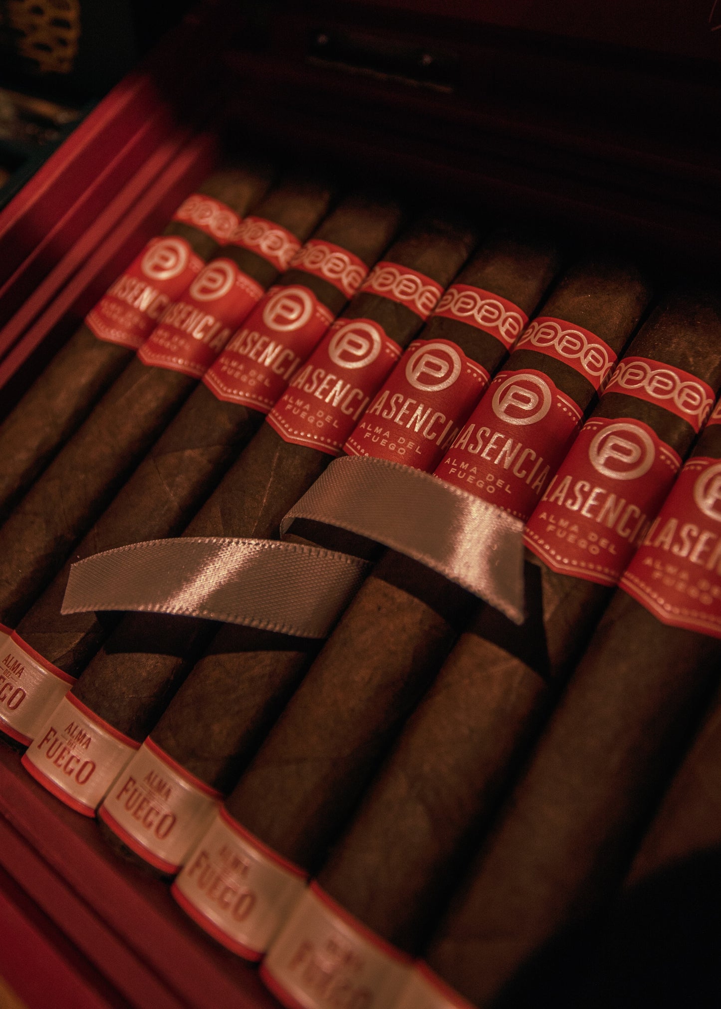 Plasencia: Alma del Fuego -Concepcion Toro 6x54 - AME Cigars