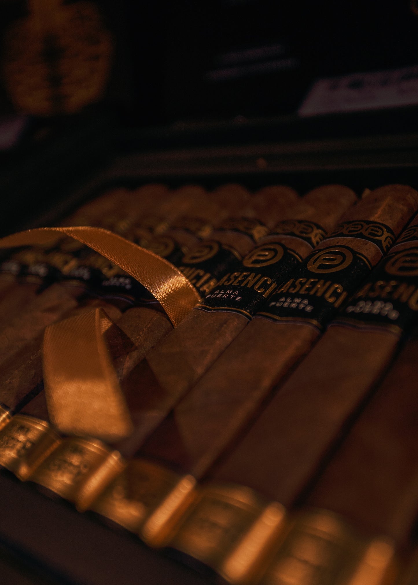Plasencia: Alma Fuerte -Robustus I 5-1/4x52 - AME Cigars