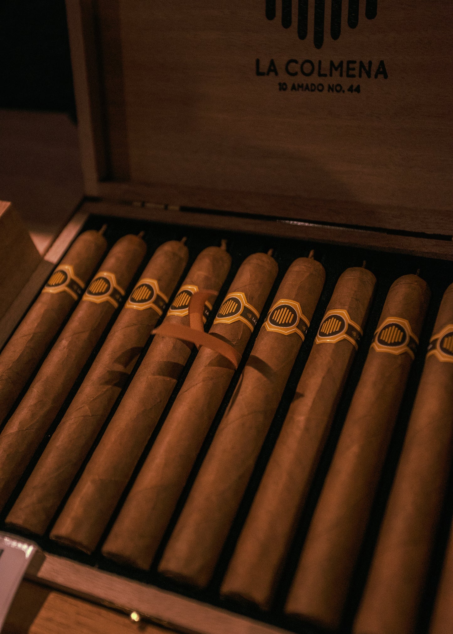 Warped: La Colmena No. 44 5.5x44 - AME Cigars