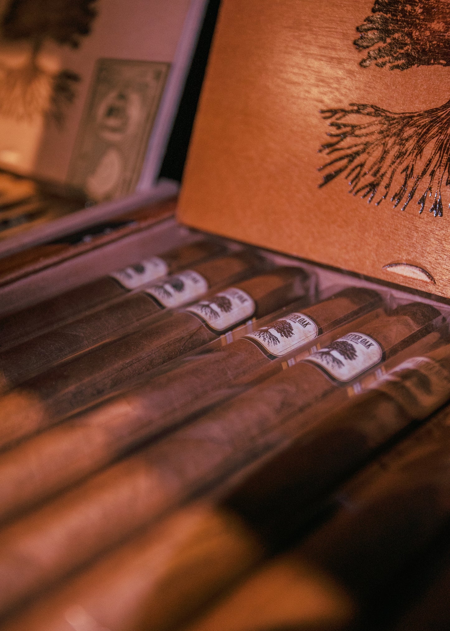 Foundation: Charter Oak Habano -Toro 6x52 - AME Cigars