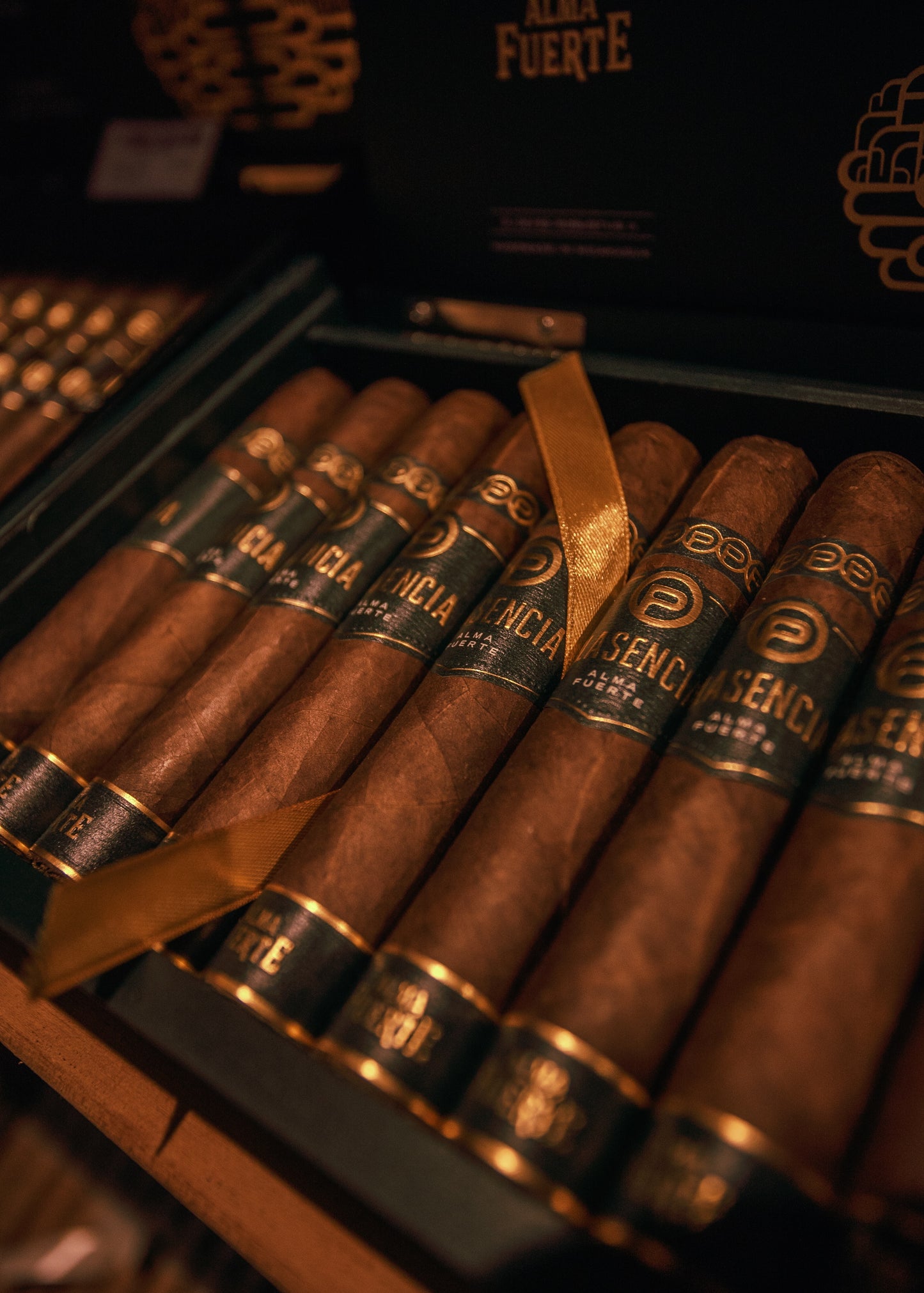 Plasencia: Alma Fuerte NATURAL- Robustus II 5-1/8x55 - AME Cigars