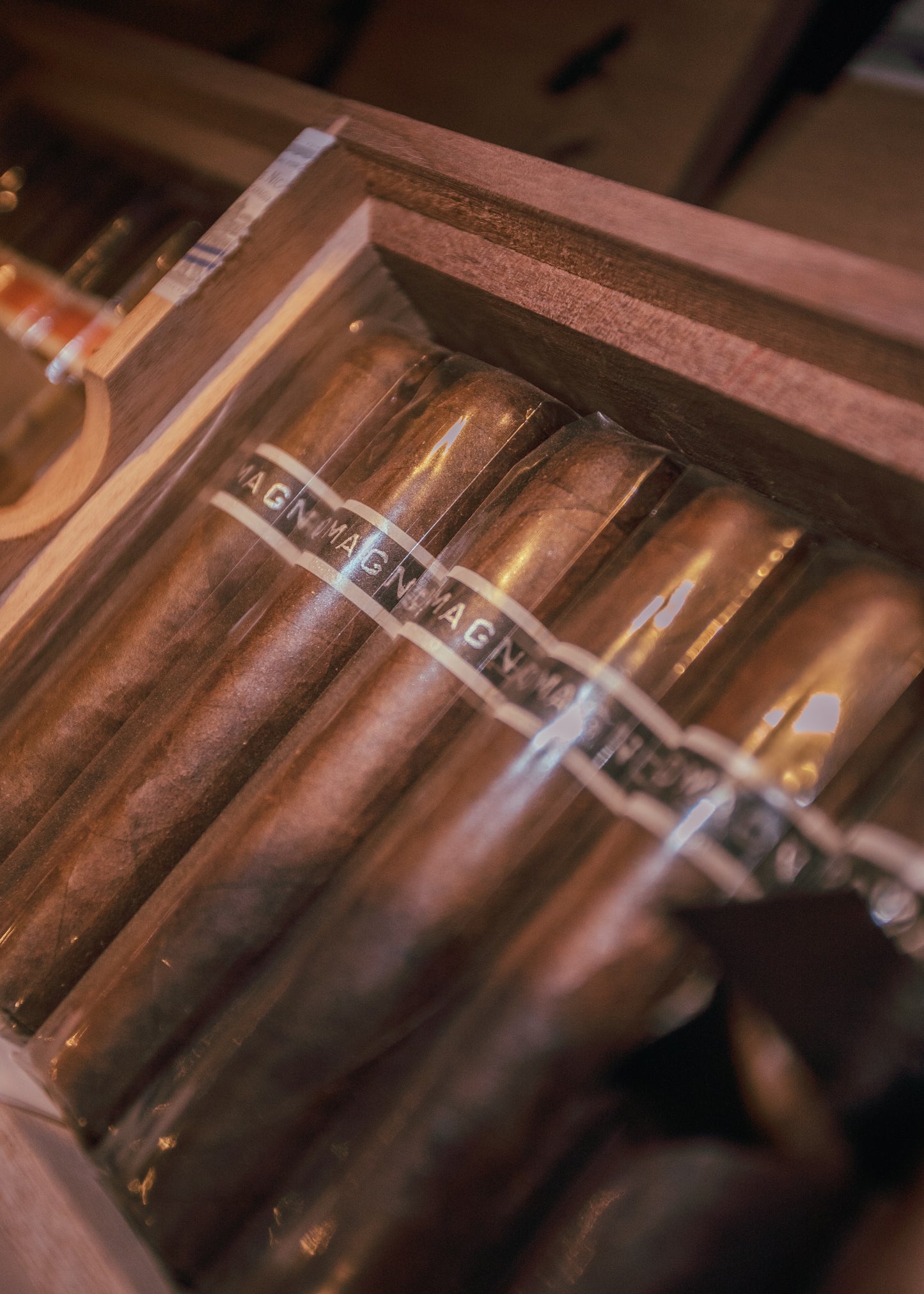 Roma Craft CroMagnon Mandible 4.5x60 - AME Cigars