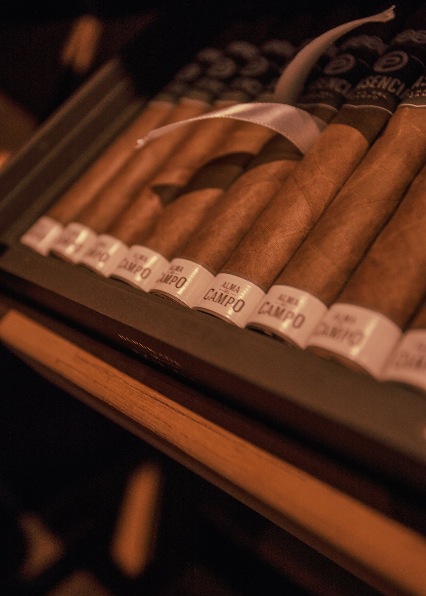 Plasencia: Alma del Campo Travesia 6x54BP - AME Cigars