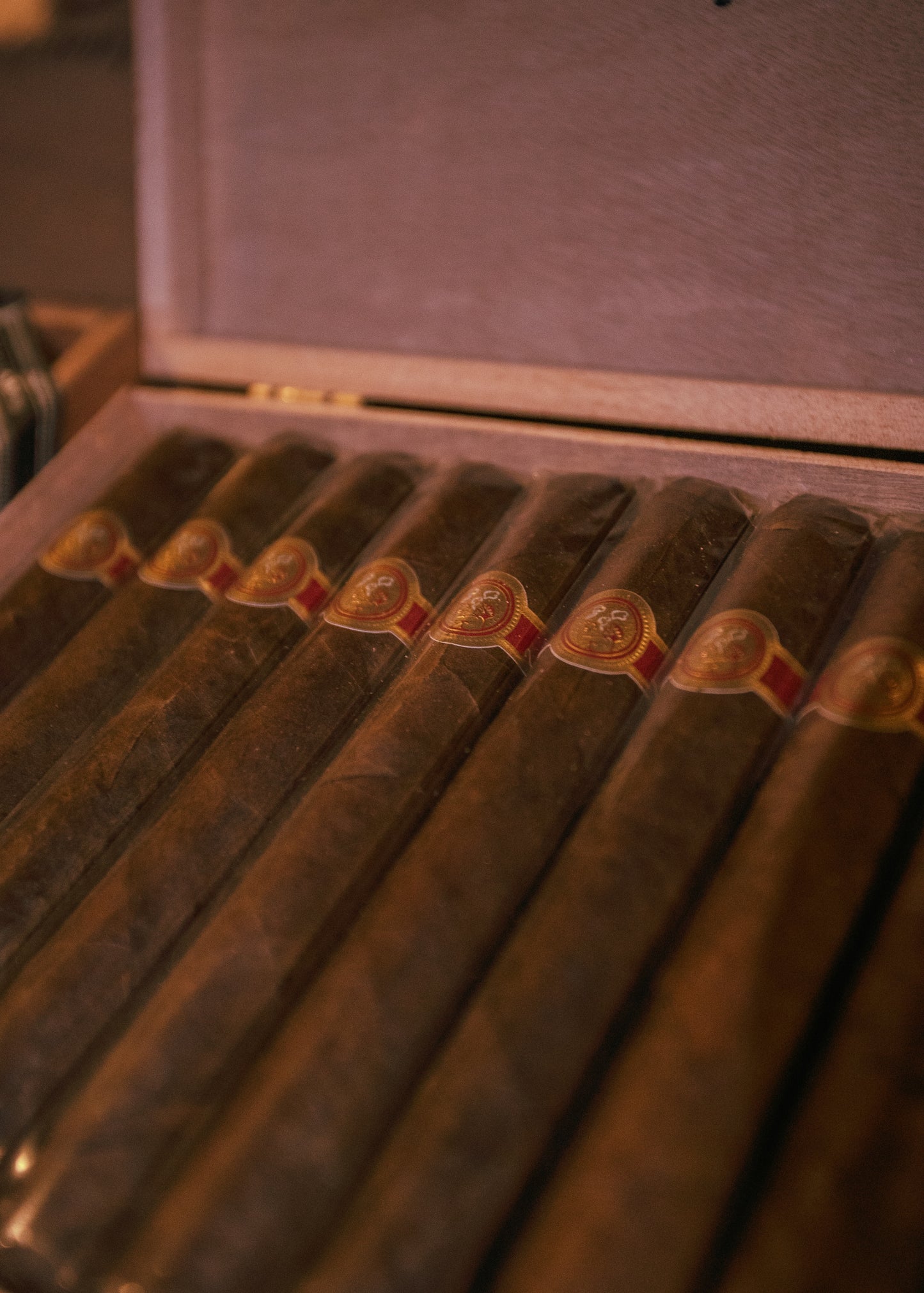 Warped: Venture 1492 5.5x48 - AME Cigars