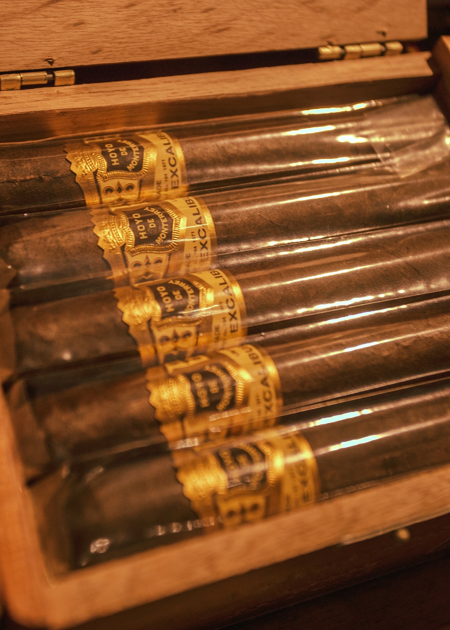 Hoyo De Monterrey Excalibur Epicure Maduro 5.25x50 - AME Cigars