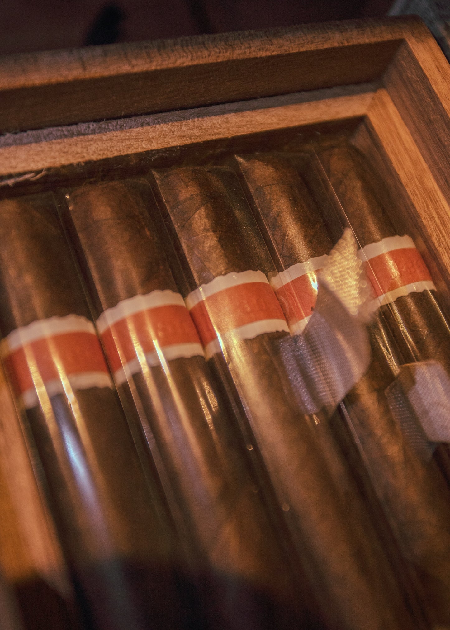 Roma Craft Neanderthal HoxD 4x46 - AME Cigars