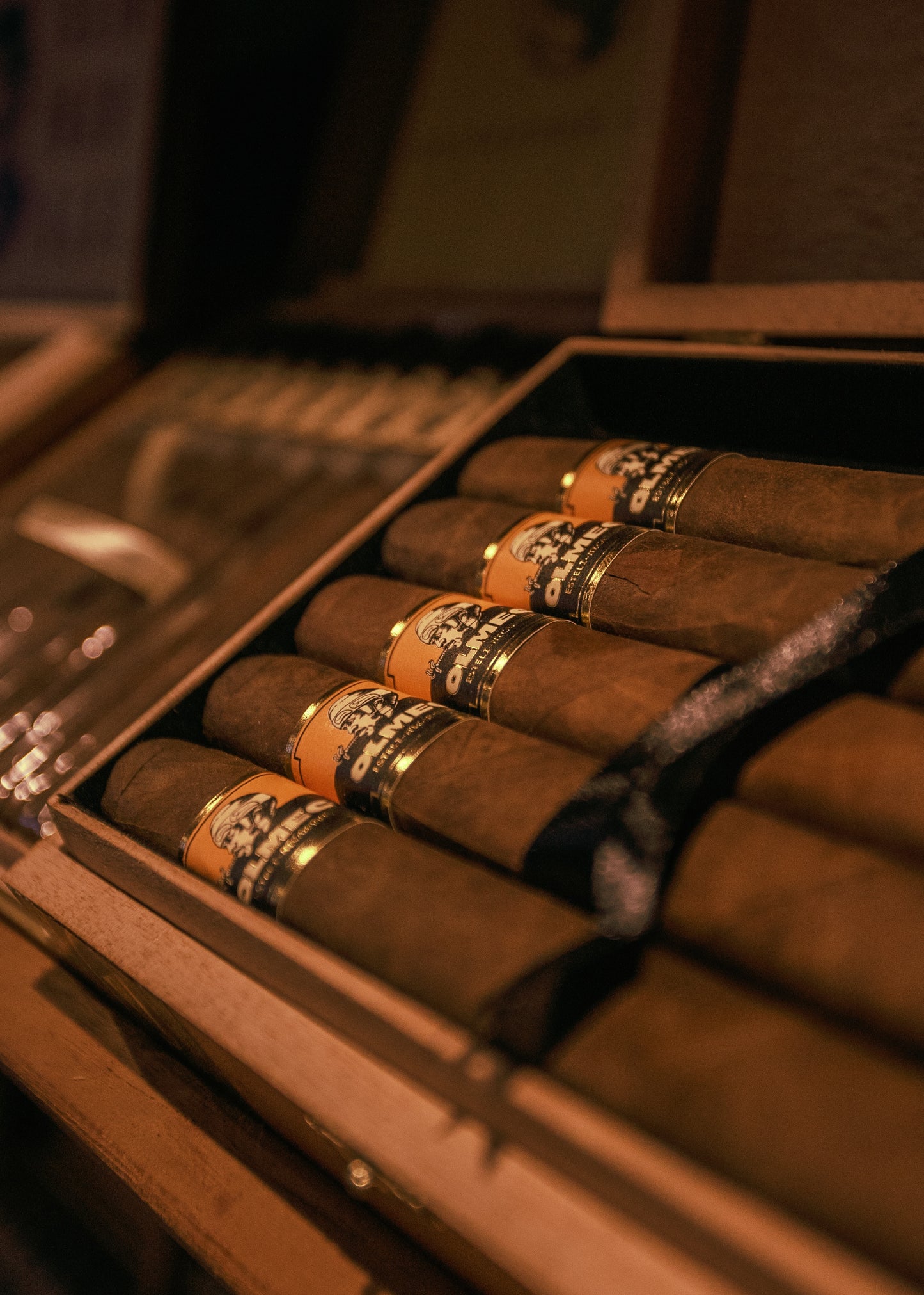 Foundation: Olmec Claro -DB Corona - AME Cigars