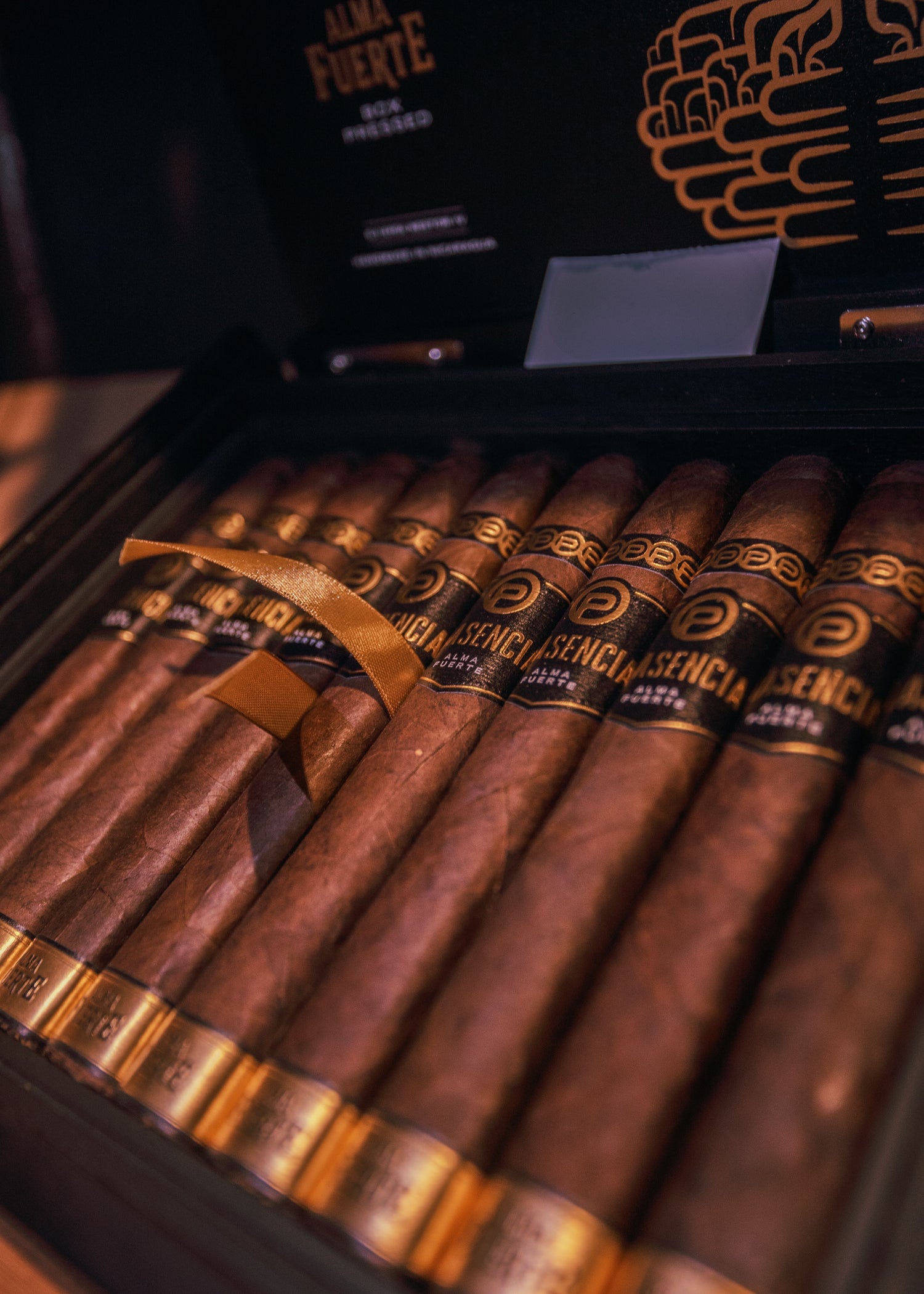 Plasencia: Alma Fuerte -Nestor IV. Toro 6-1/4x54 - AME Cigars