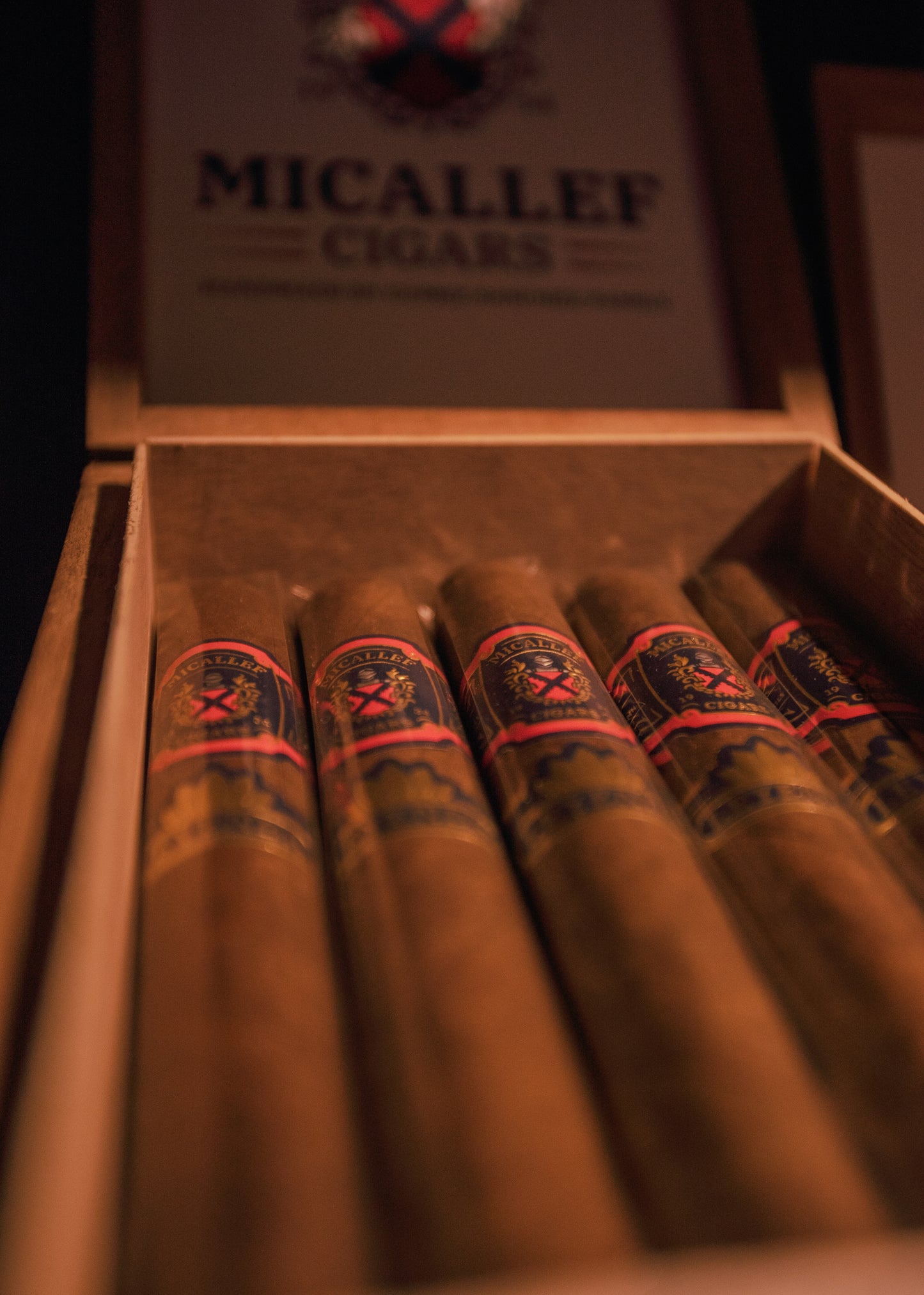 Leyenda Toro 6x52 - AME Cigars