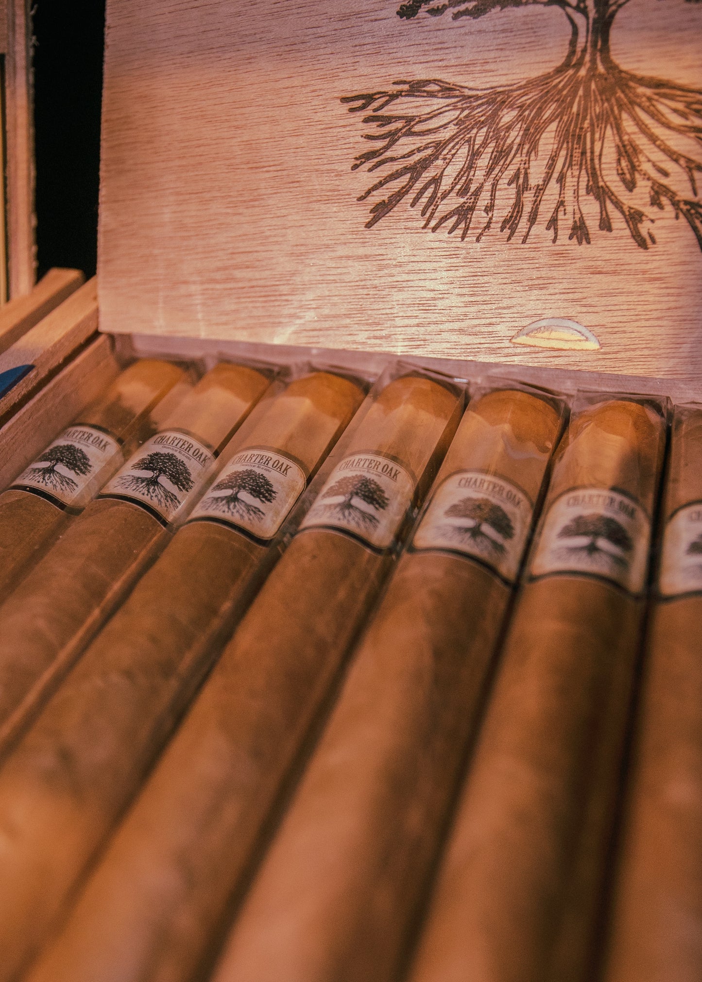 Foundation: Charter Oak Shade -Toro 6x52 - AME Cigars