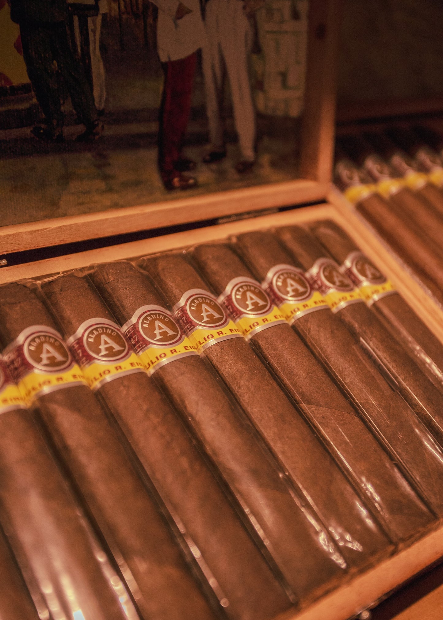 Aladino Maduro Box Pressed Robusto 5x50 - AME Cigars