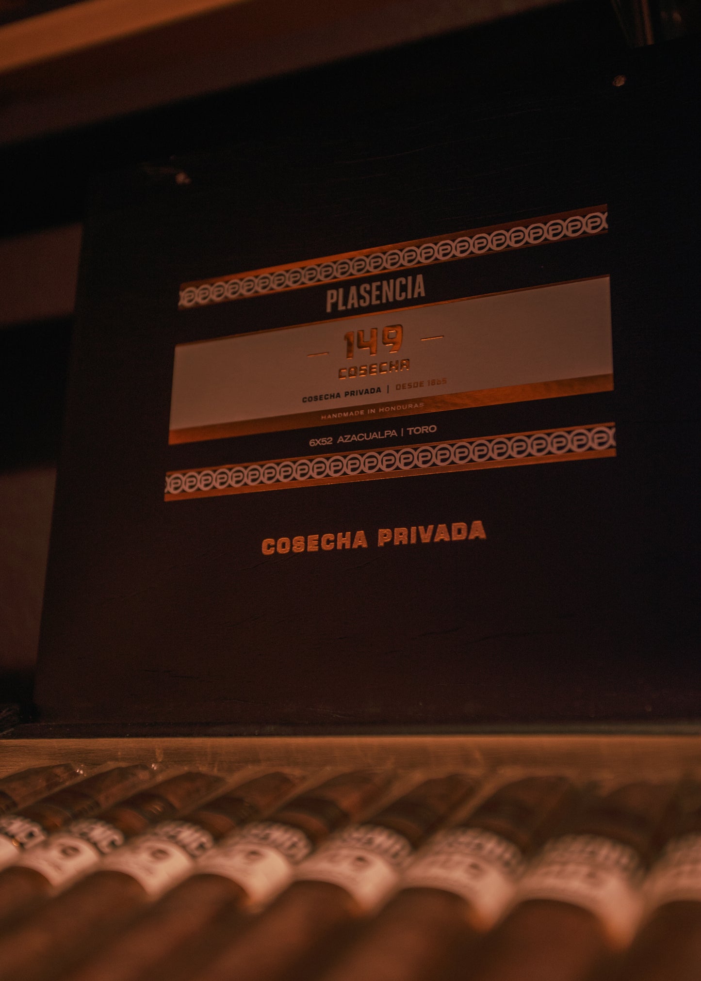 Plasencia: Cosecha149 - Azacualpa Toro 6x52 - AME Cigars
