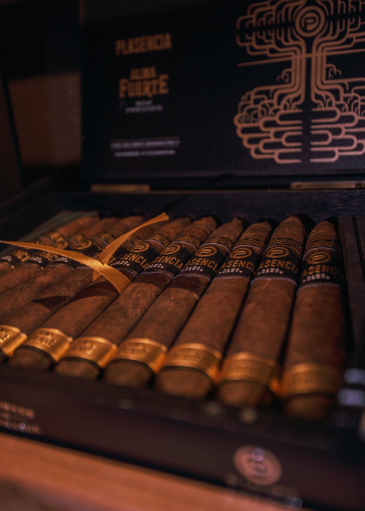 Plasencia: Alma Fuerte- Generacion V Salomon 7x58 - AME Cigars