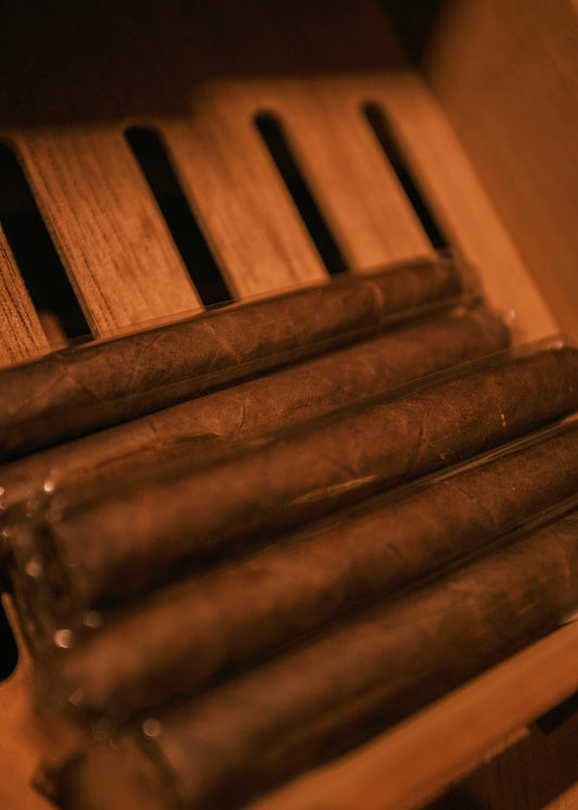 Illusione La Grande Classe REX 4 5/8x40 - AME Cigars