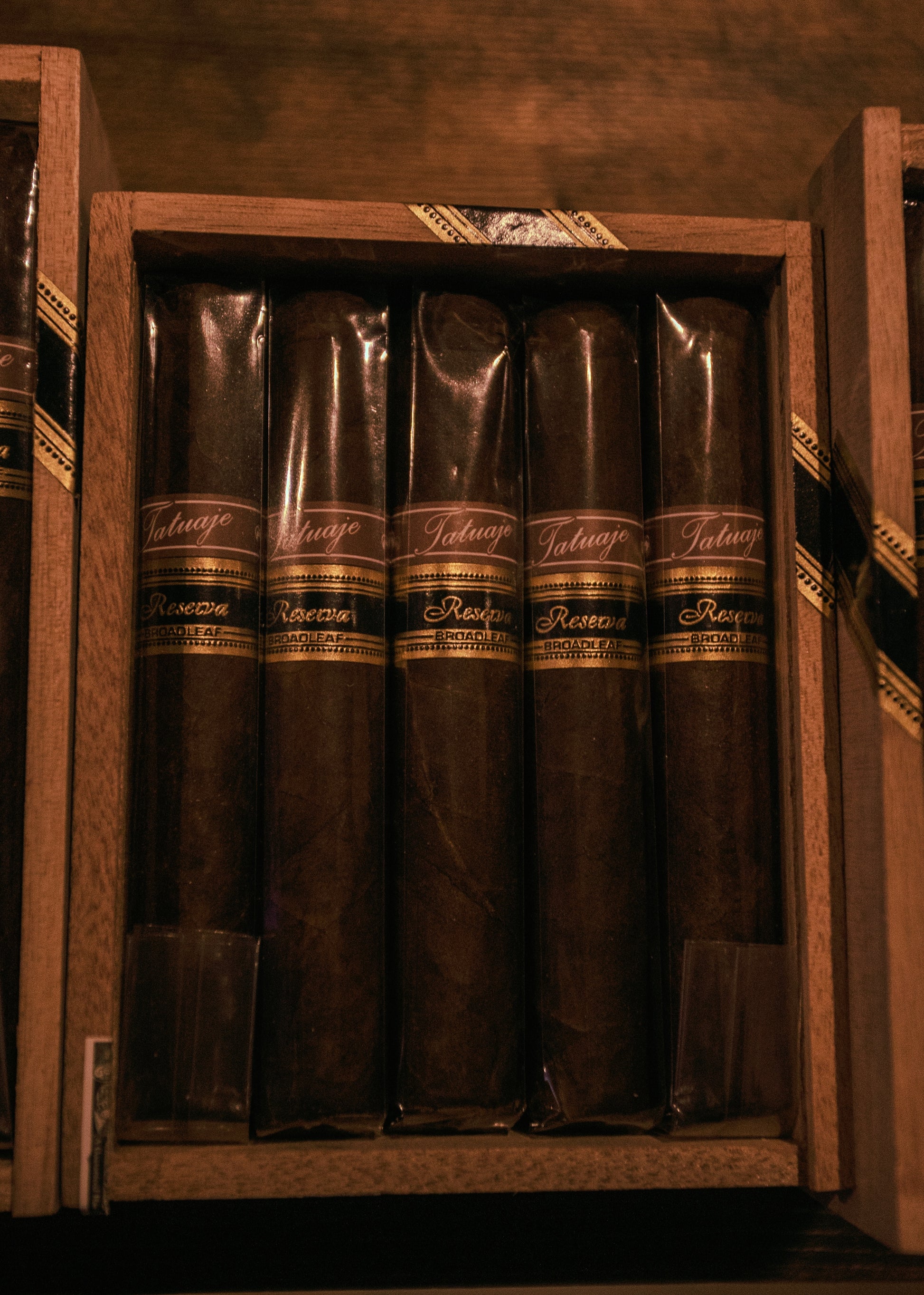 Tatuaje Reserva Broadleaf J21 5x50 - AME Cigars