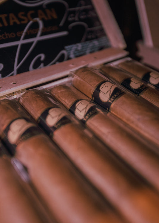 Tatascan: Connecticut -Robusto 50x5 - AME Cigars