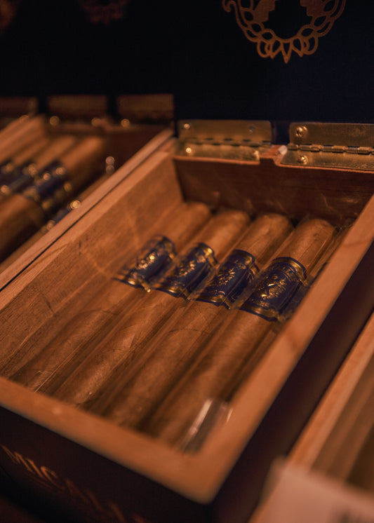 Micallef: Blue -Robusto 5x52 - AME Cigars