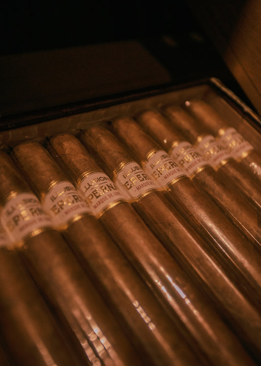 Illusione Epernay 10th Anniversary D'Aosta 6x50 Toro - AME Cigars