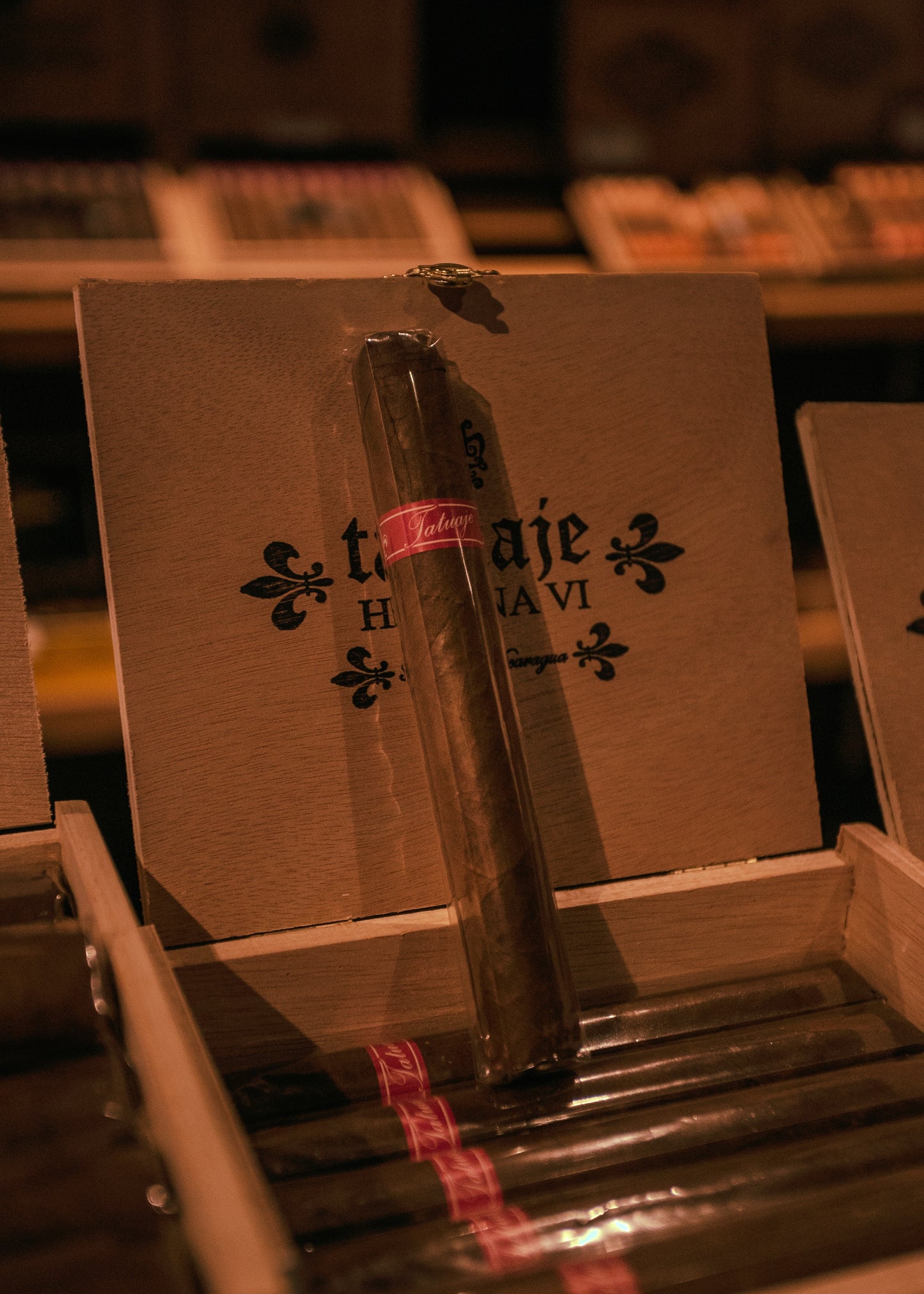 Tatuaje Havana VI Hermosos 5 5/8x46 - AME Cigars