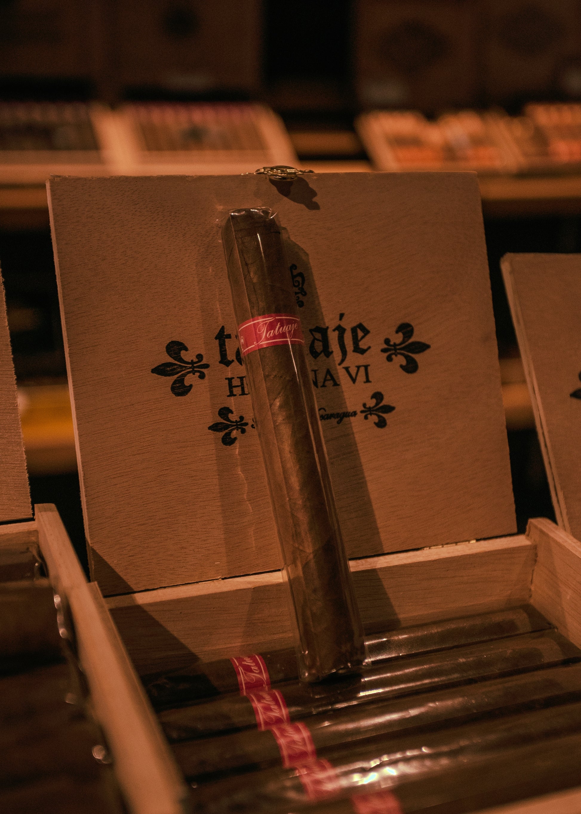 Tatuaje Havana VI Hermosos 5 5/8x46 - AME Cigars