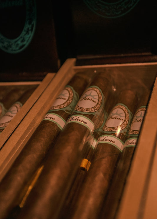 Patina Habano Bronze 6x52 - AME Cigars