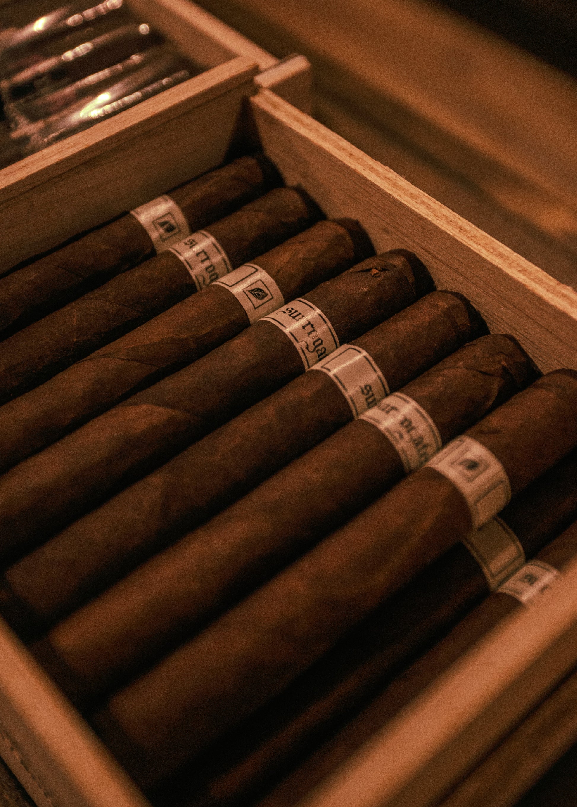 Tatuaje Surrogates Cracker Crumb - AME Cigars