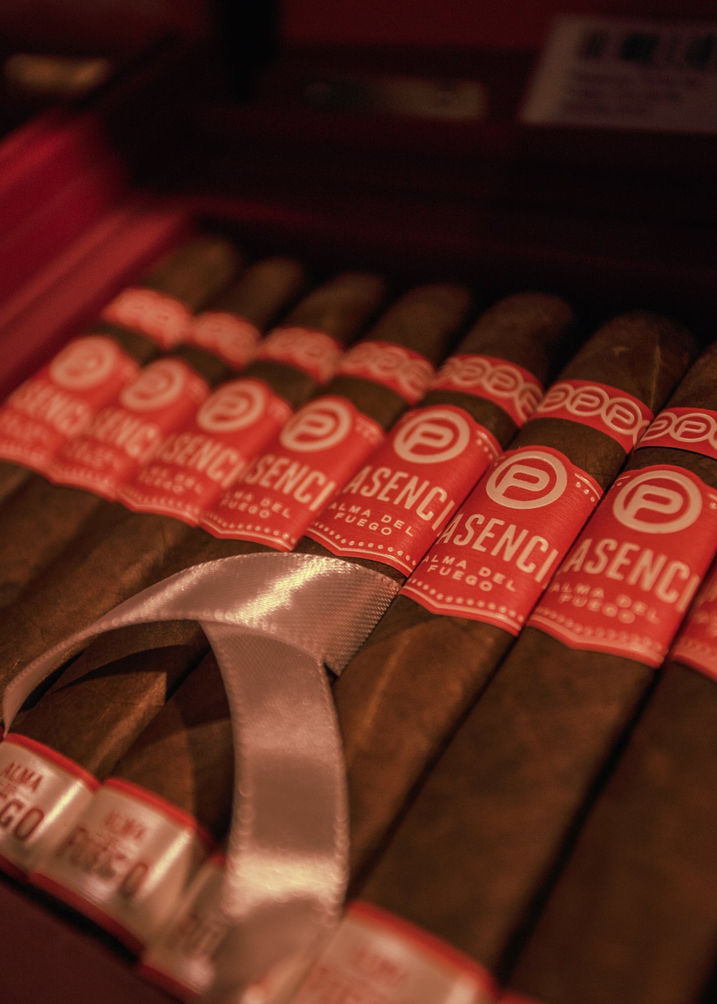 Plasencia: Alma del Fuego- Candente Robusto 5x50 - AME Cigars