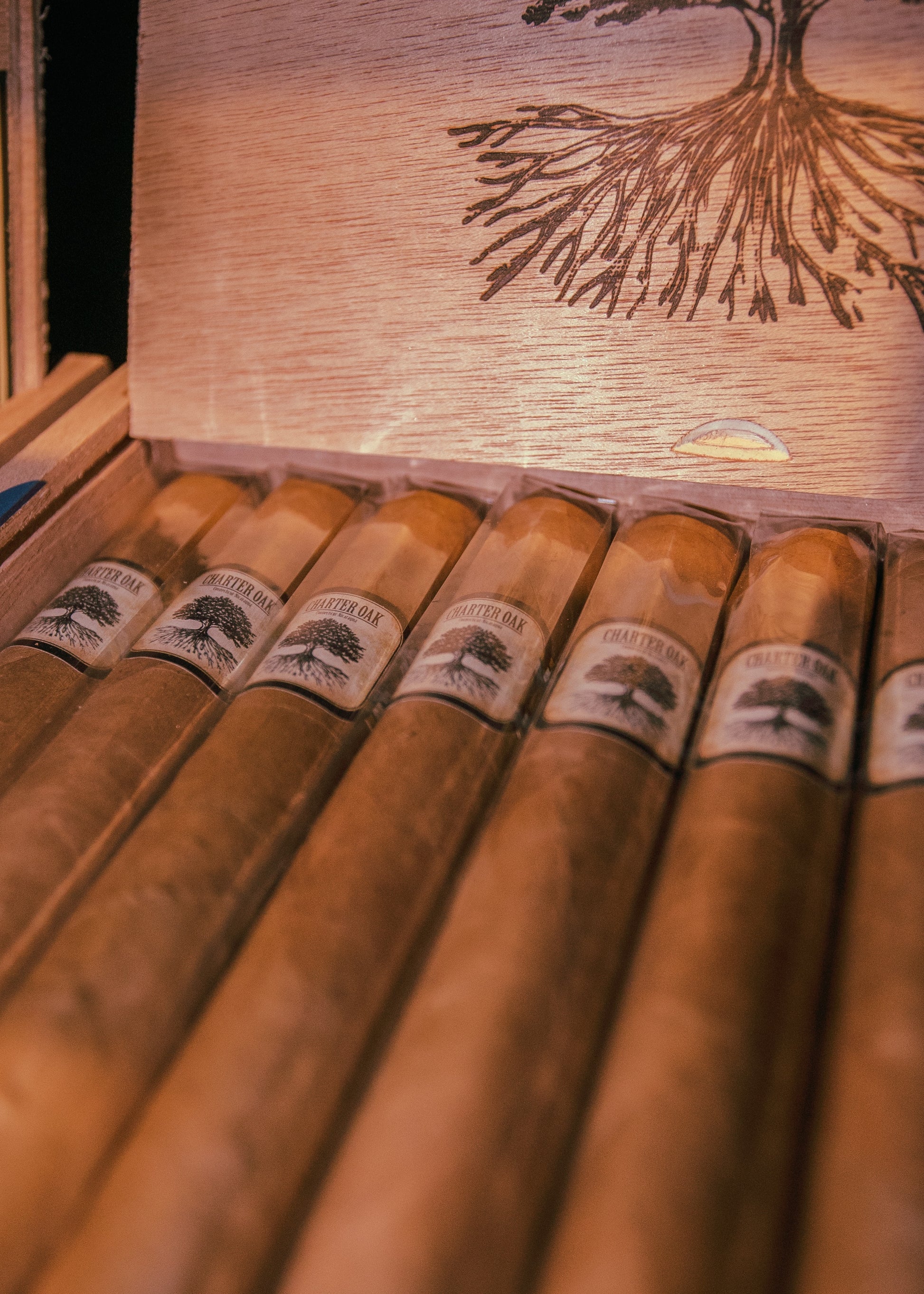 Foundation: Charter Oak Shade -Toro 6x52 - AME Cigars