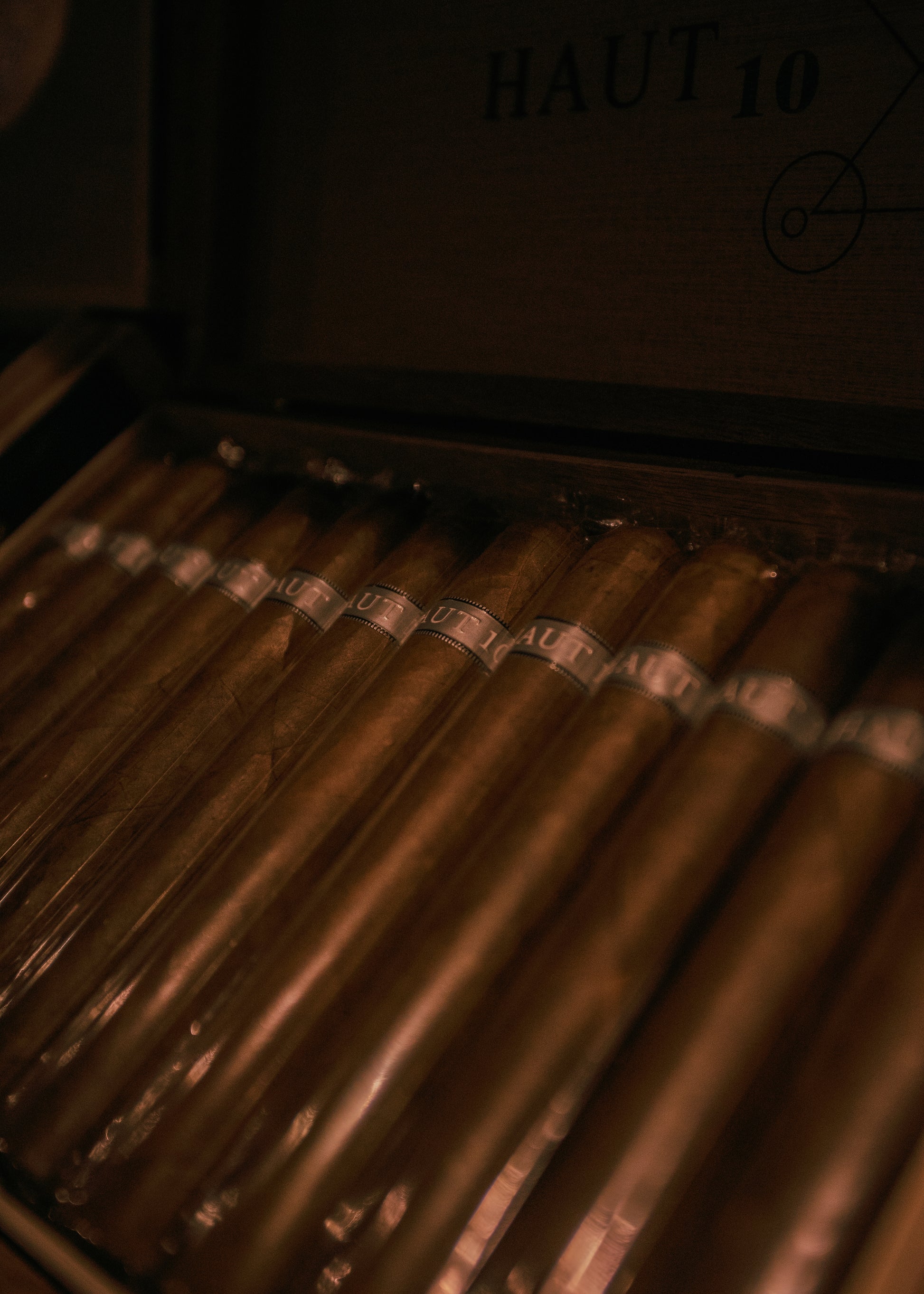Illusione Haut 10 Toro 5.5x52 - AME Cigars