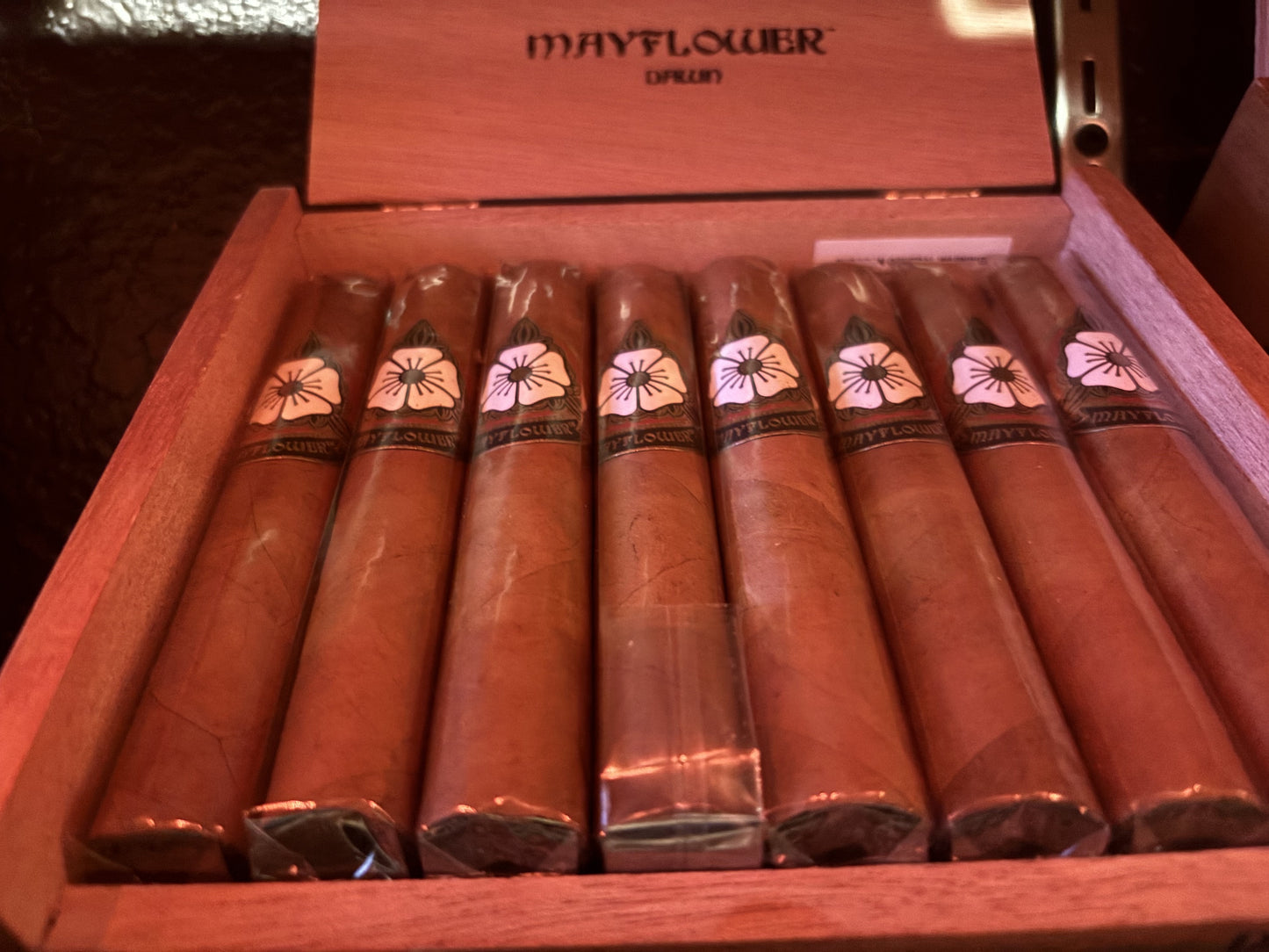 Mayflower Dawn 5x50 Robusto - AME Cigars