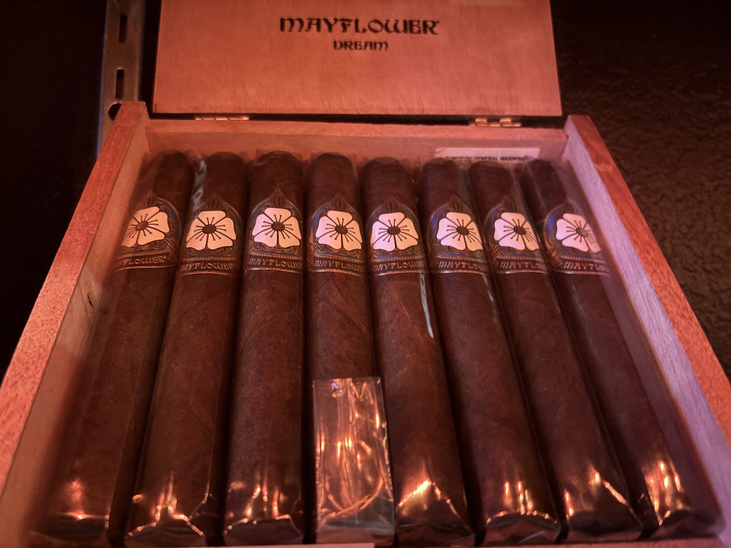 Mayflower Dream 5-1/2x50 Robusto - AME Cigars