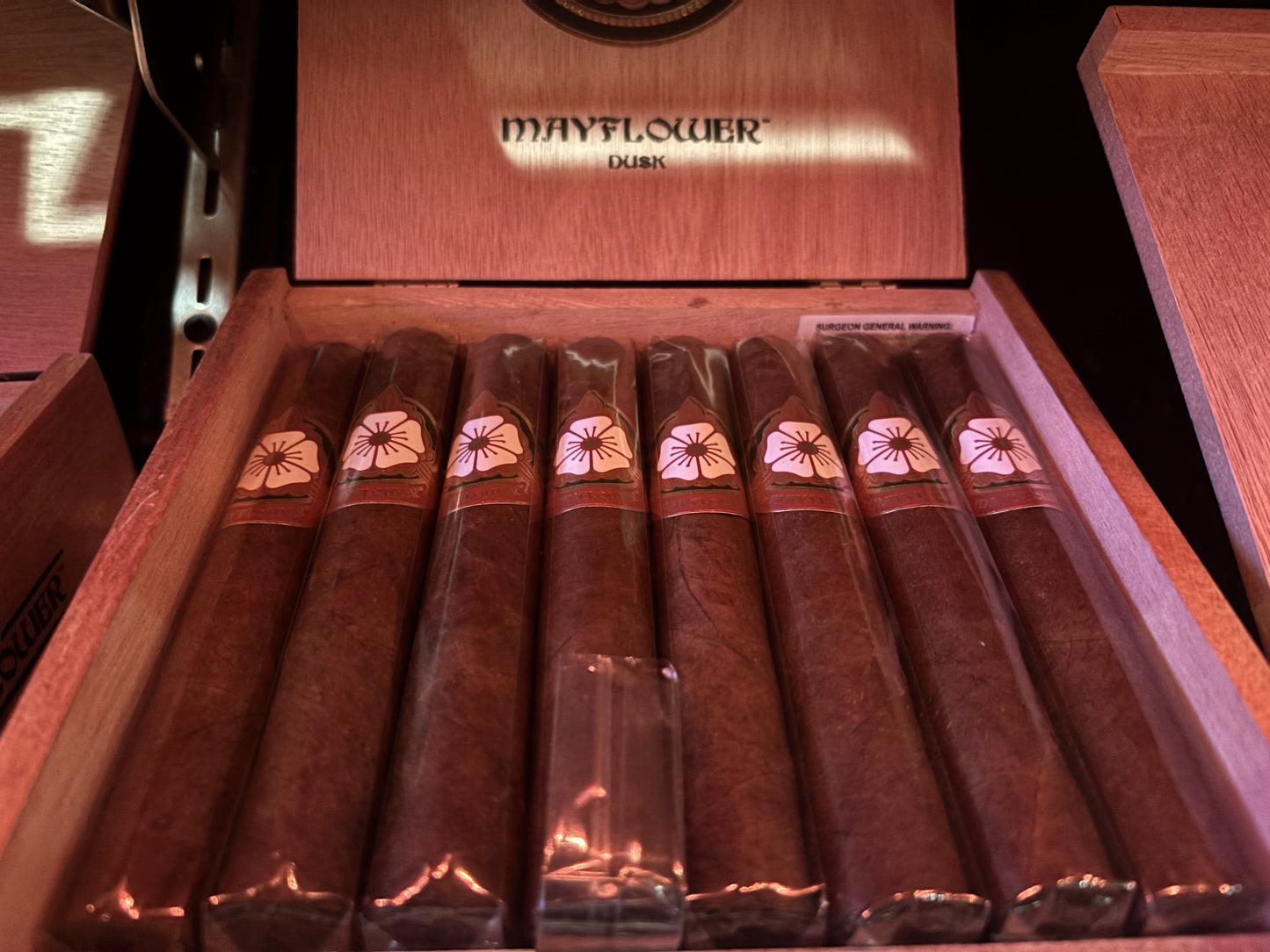 Mayflower Dusk 5-1/2x 50 Robusto - AME Cigars