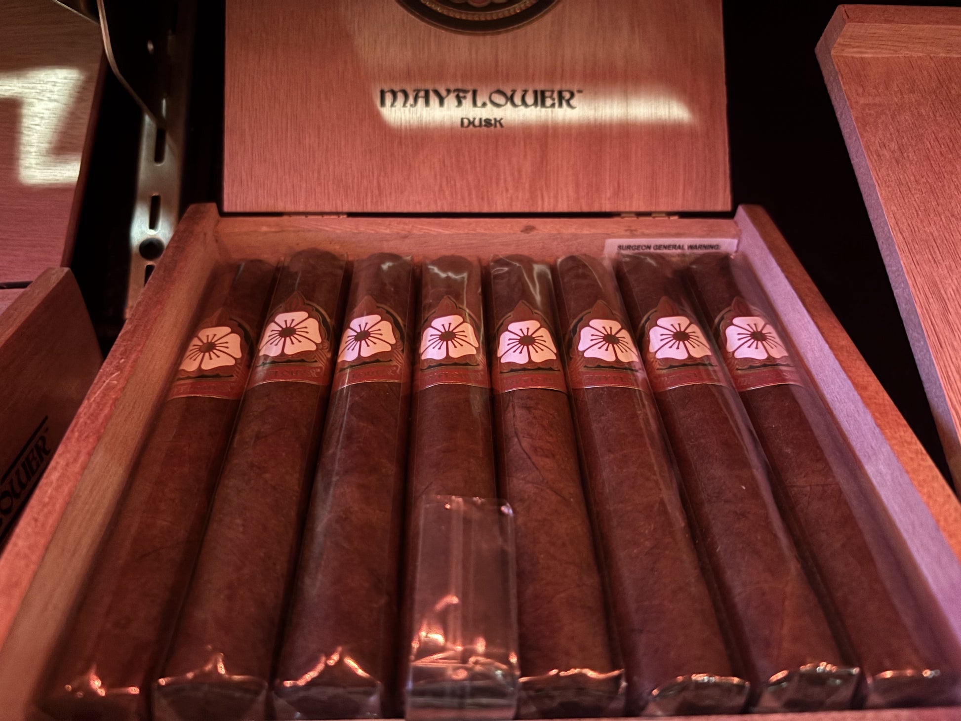 Mayflower Dusk 5-1/2x 50 Robusto - AME Cigars